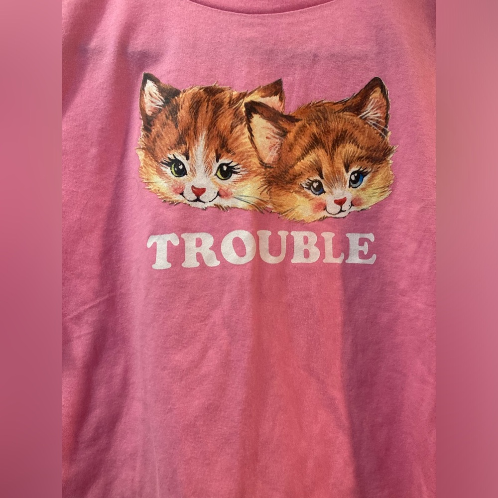 Trouble Kittens shirt. Super cute!